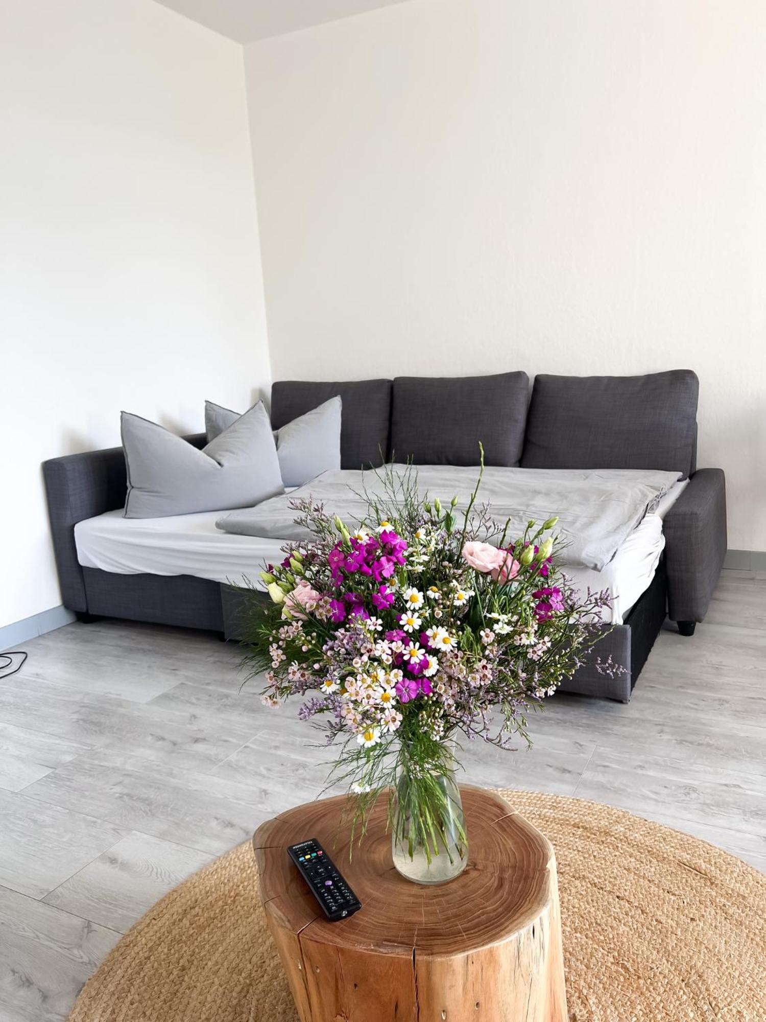 Apartment Suennanbeter Mit Pool Fuer 2-4 Personen 다메 외부 사진